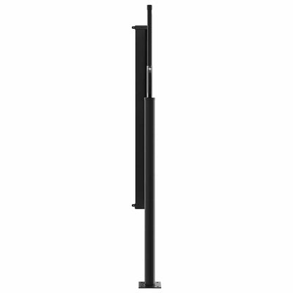 Retractable Side Awning 100x300cm Anthracite | HomeAndLiving