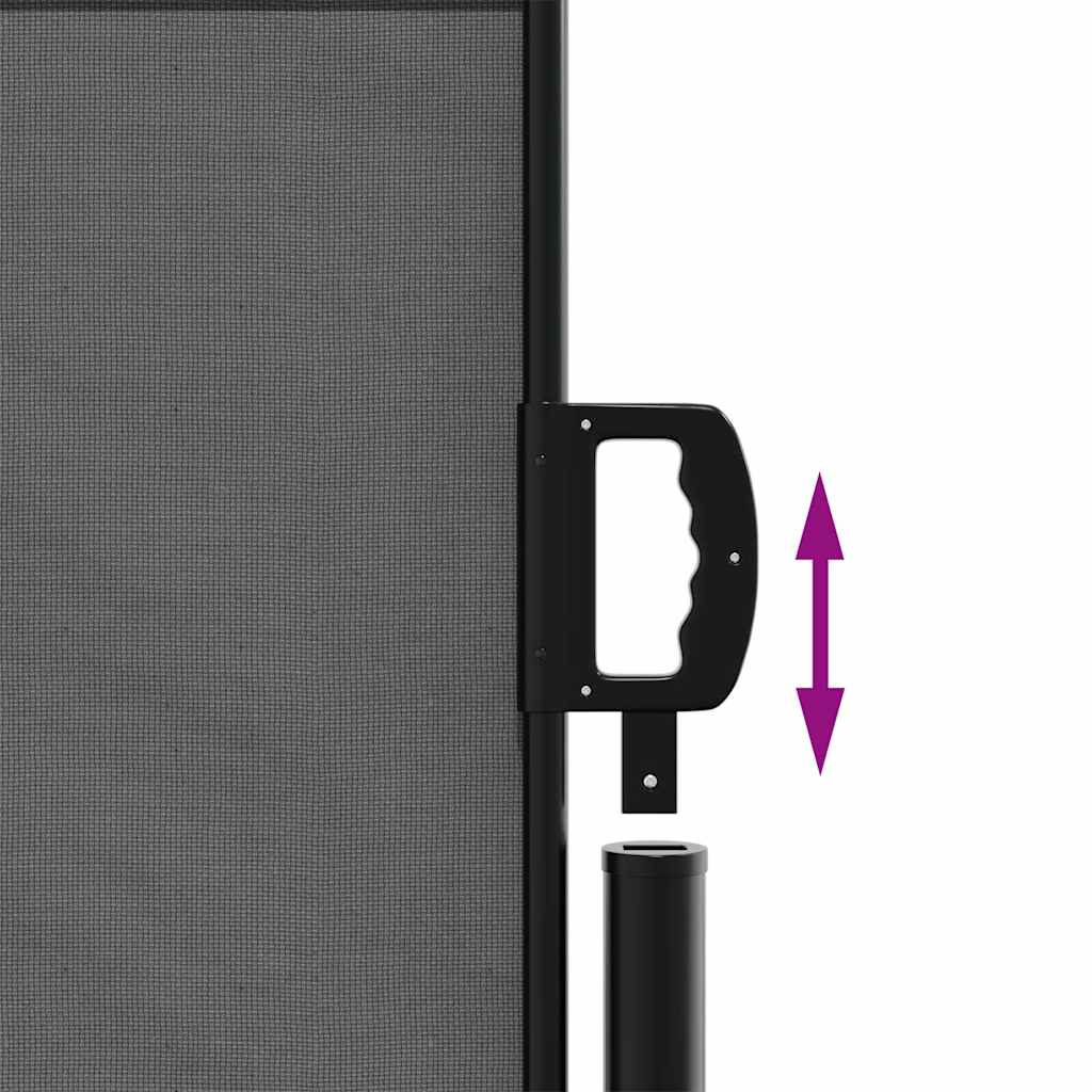 Retractable Side Awning 100x300cm Anthracite | HomeAndLiving