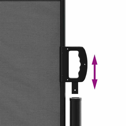 Retractable Side Awning 100x300cm Anthracite | HomeAndLiving