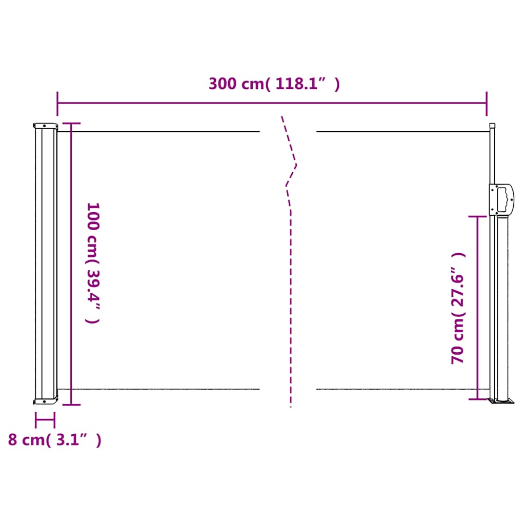 Retractable Side Awning 100x300cm Anthracite | HomeAndLiving