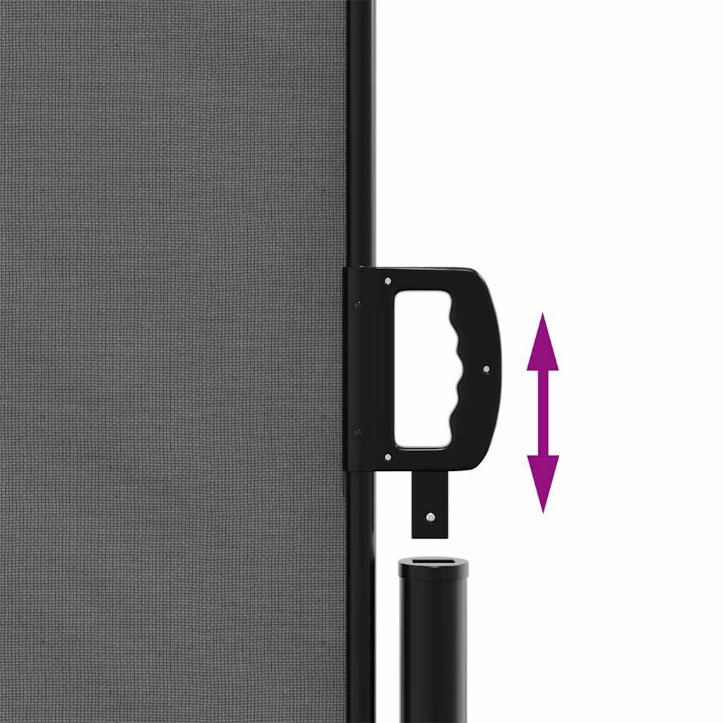 Retractable Side Awning 200x300cm Anthracite | HomeAndLiving
