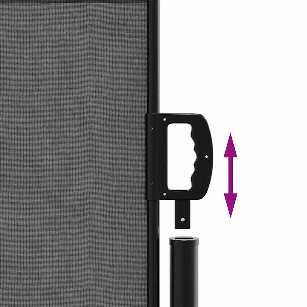 Retractable Side Awning 100x500cm Anthracite | HomeAndLiving