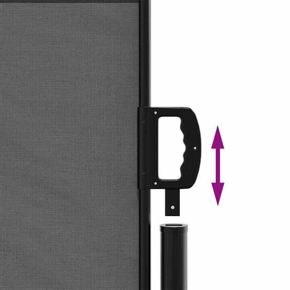 Retractable Side Awning 100x500cm Anthracite | HomeAndLiving
