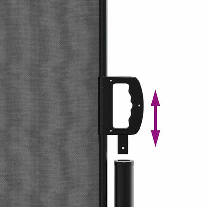 Retractable Side Awning 220x500cm Anthracite | HomeAndLiving