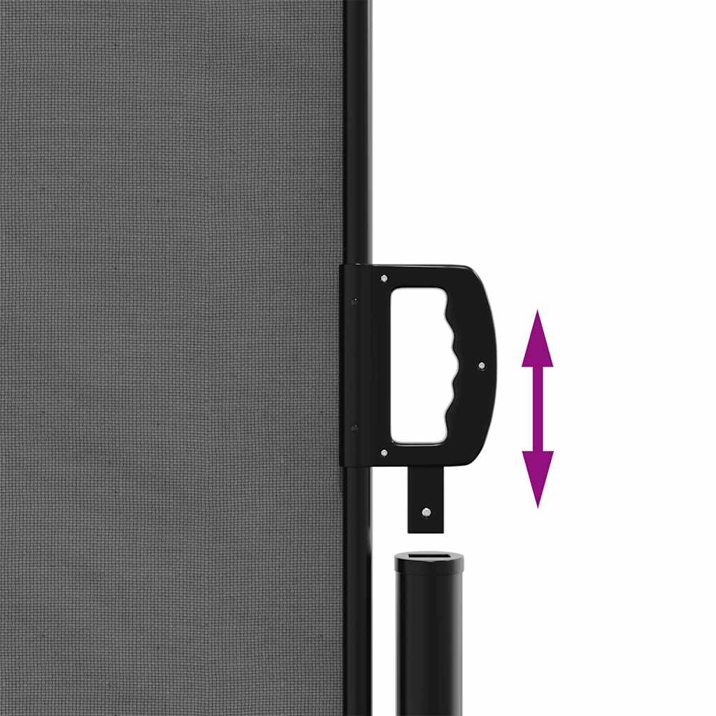 Retractable Side Awning 220x600cm Anthracite | HomeAndLiving