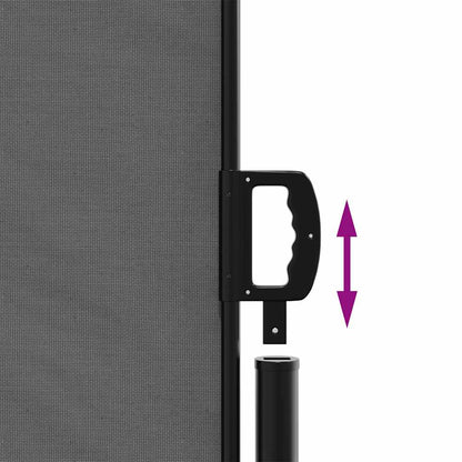 Retractable Side Awning 220x600cm Anthracite | HomeAndLiving