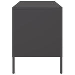 TV Cabinets 2 pcs Black Steel