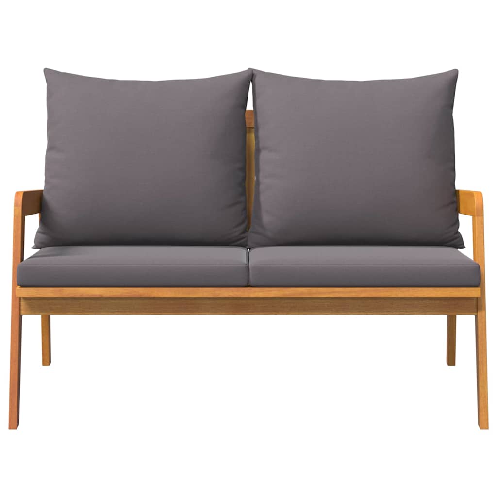 Contemporary Garden Bench with Cushion Oil Home Decor Accent Urban Style 
