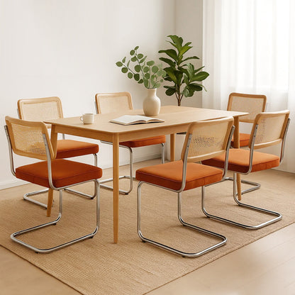 Minimalist 6xRattan Chair Dining Chairs  Multipurpose Use Classic