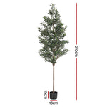 210cm Artificial Olive Tree Indoor Plant Decor | HomeAndLiving