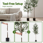 210cm Artificial Olive Tree Indoor Plant Decor | HomeAndLiving