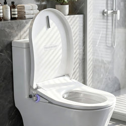 Electric Bidet Toilet Seat D-Shape Heated Air Dryer | Home & Living
