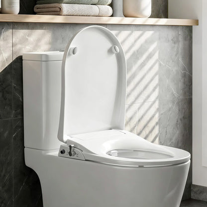 Non-Electric Bidet Toilet Seat D-Shape Dual Nozzle | Home & Living