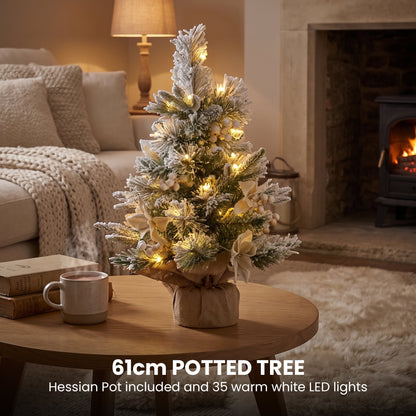 Frosted Christmas Set 61cm