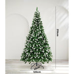 Christmas Tree Xmas Trees Snowy Decorations Green