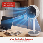 Heat Cool Pedestal Fan LED Display Timer | HomeAndLiving