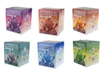 Crystal growing kit 6 colour assorted