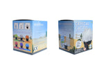 Crystal cactus mini kit set of 6
