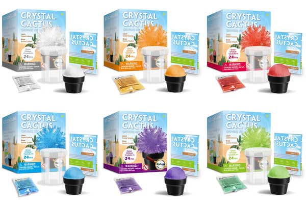  Crystal cactus mini kit