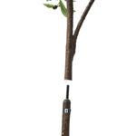 2x Artificial Olive Trees Potted Plants 180cm Indoor Home Decor Green