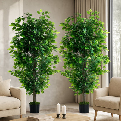 2x Ficus Tree 150cm Potted  Plants