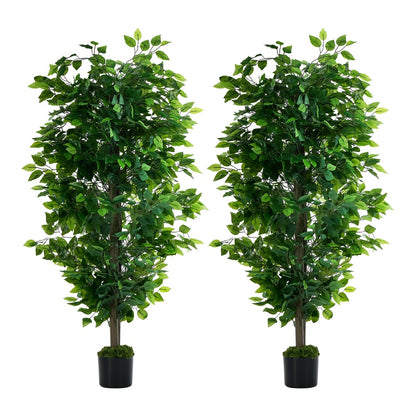 2x Ficus Tree 150cm Potted  Plants - 2