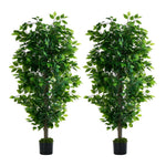 2x Ficus Tree 150cm Potted  Plants