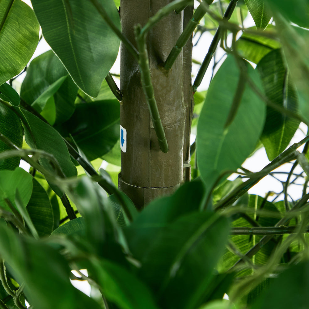 2x Ficus Tree 150cm Potted  Plants - 6