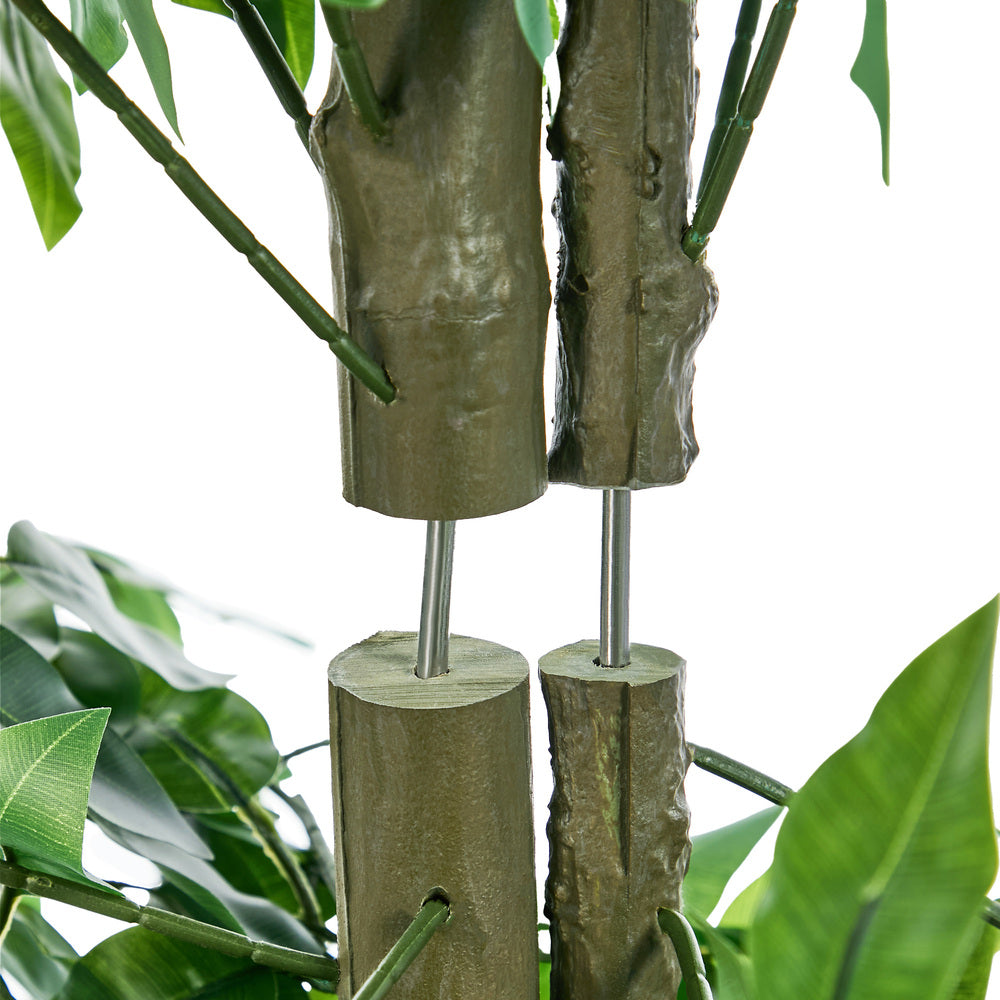 2x Ficus Tree 150cm Potted  Plants - 5