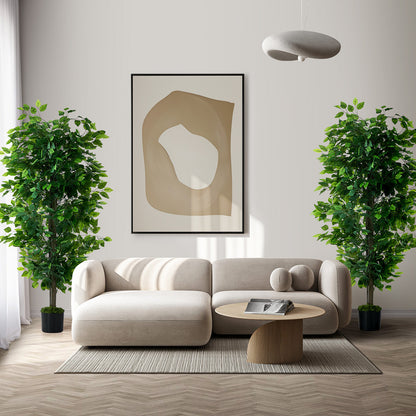 2x Ficus Tree 150cm Potted  Plants - 3