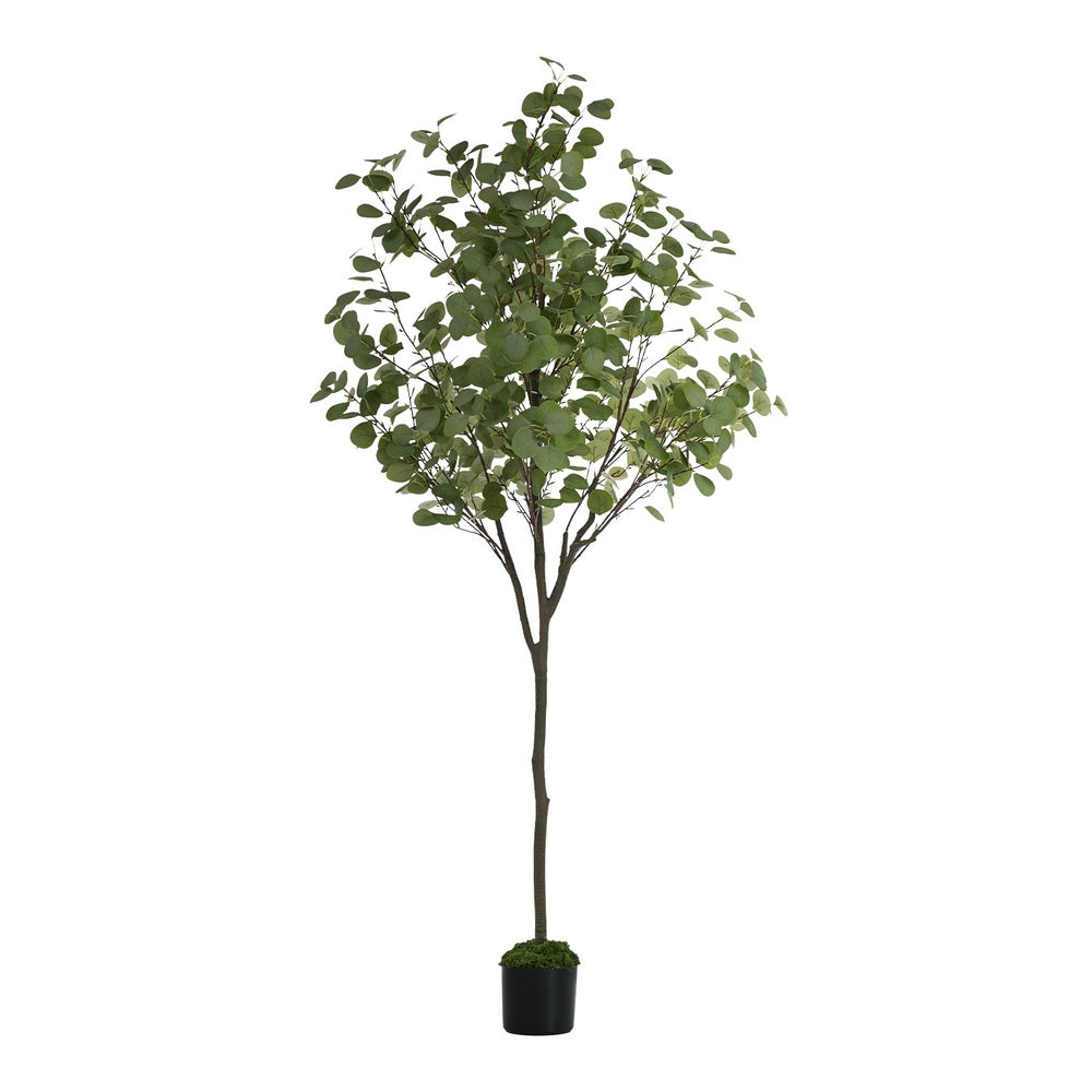 150cm Eucalyptus Tree Potted  Plant - 2