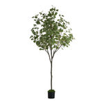 150cm Eucalyptus Tree Potted  Plant