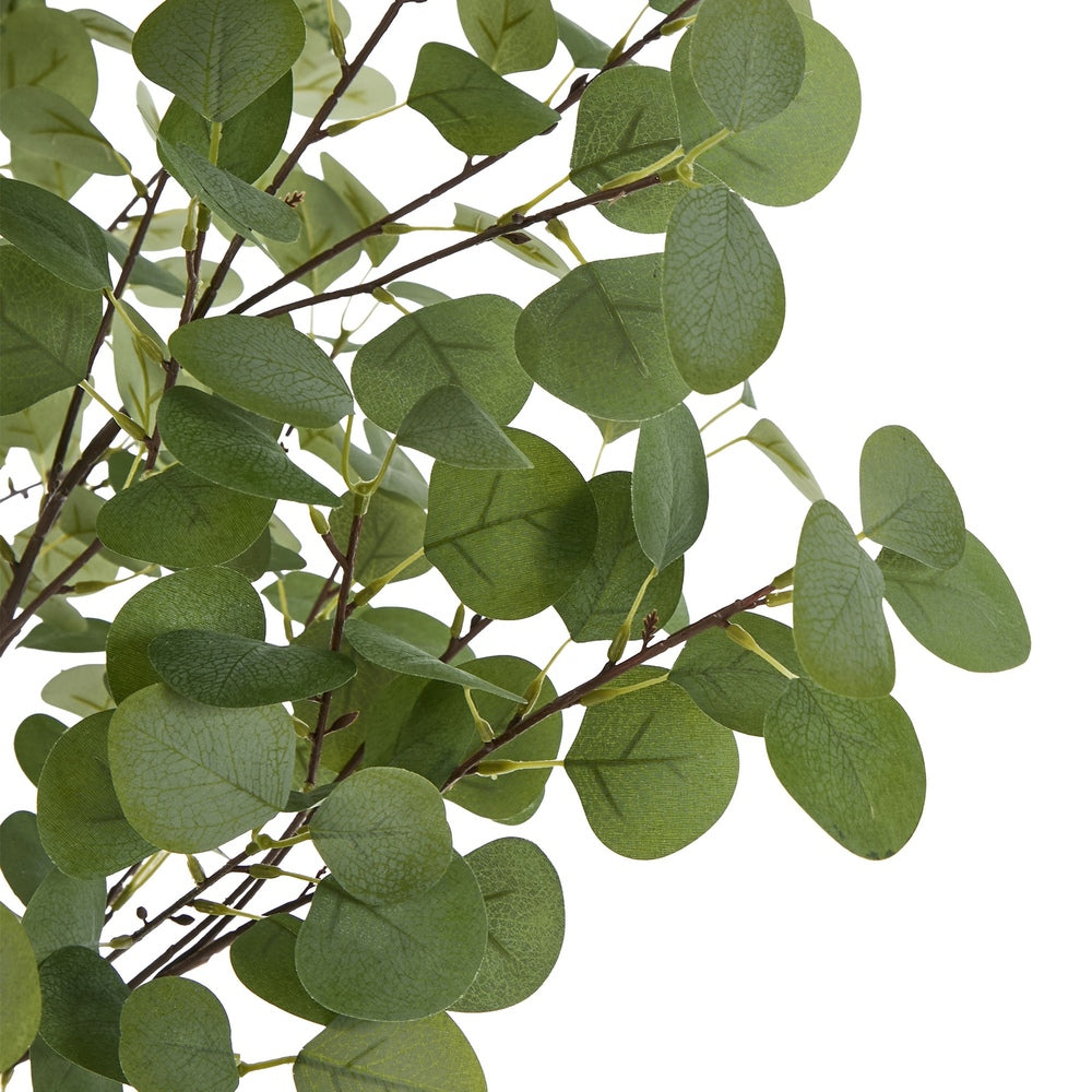 150cm Eucalyptus Tree Potted  Plant - 3