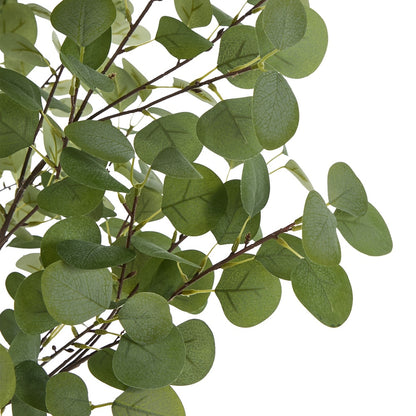 150cm Eucalyptus Tree Potted  Plant - 3