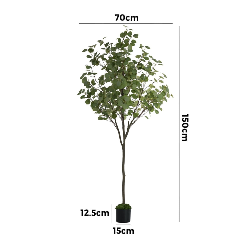 150cm Eucalyptus Tree Potted  Plant - 5