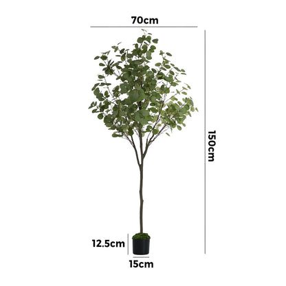 150cm Eucalyptus Tree Potted  Plant - 5