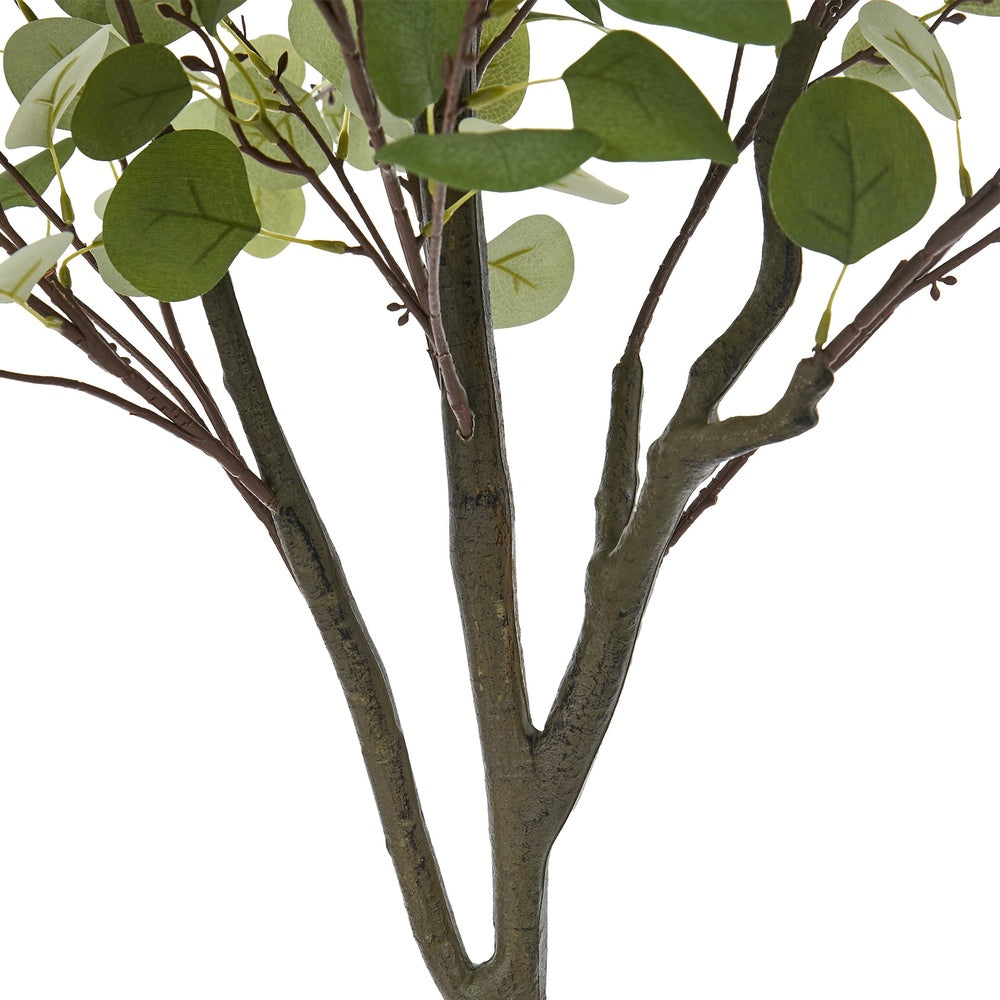 150cm Eucalyptus Tree Potted  Plant - 4