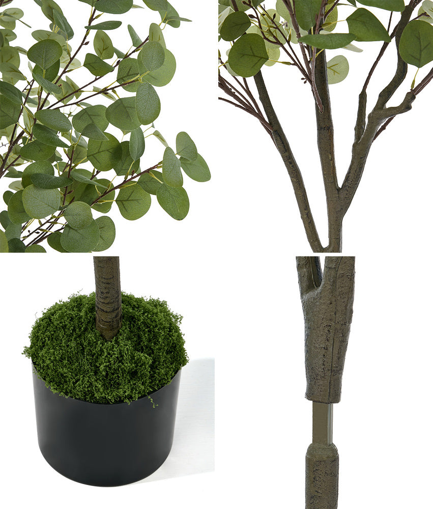150cm Eucalyptus Tree Potted  Plant - 7