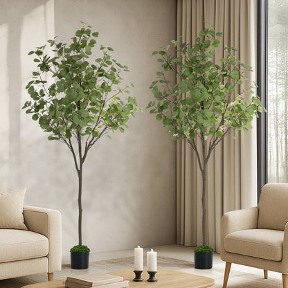 2x Eucalyptus Tree 150cm Potted  Plants