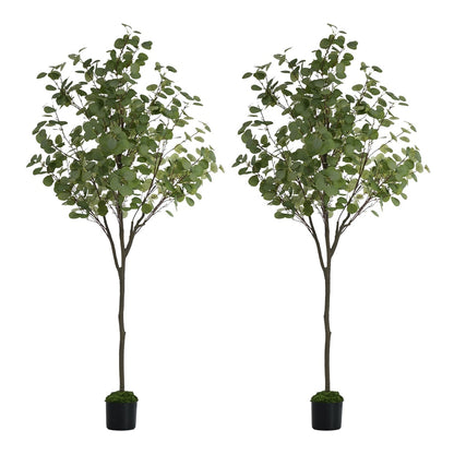 2x Eucalyptus Tree 150cm Potted  Plants - 2