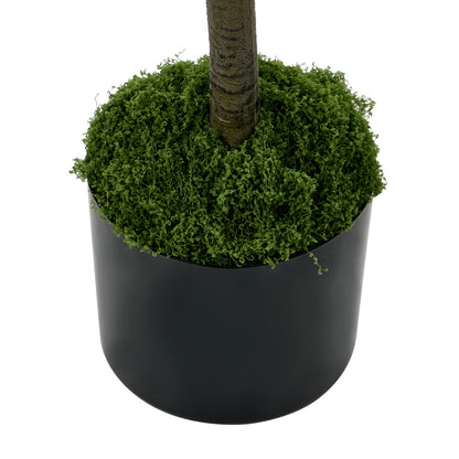 2x Eucalyptus Tree 180cm Potted  Plants - 8