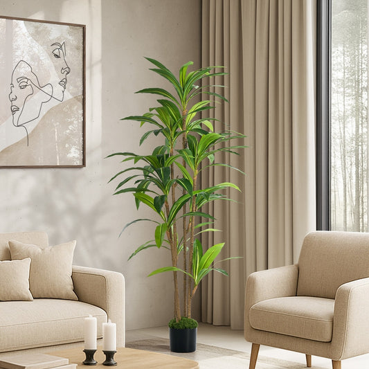 150cm Dracaena Tree Potted  Plant
