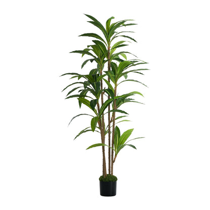 150cm Dracaena Tree Potted  Plant - 2