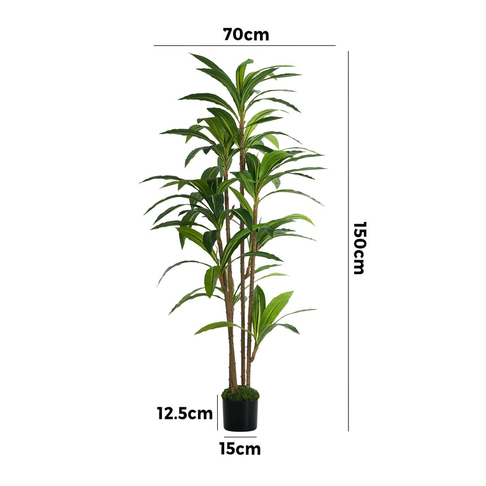 150cm Dracaena Tree Potted  Plant - 6