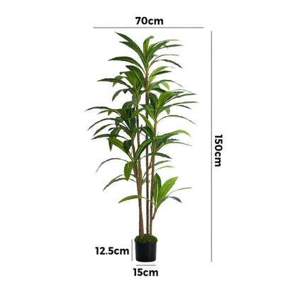 150cm Dracaena Tree Potted  Plant - 6