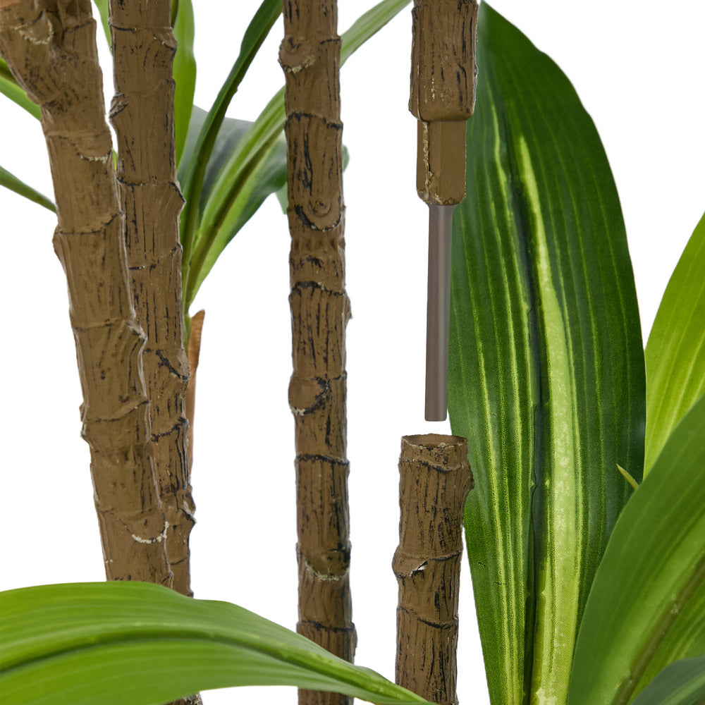 150cm Dracaena Tree Potted  Plant - 5