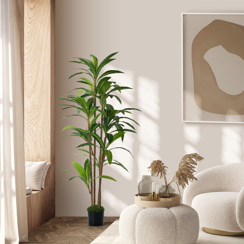 150cm Dracaena Tree Potted  Plant - 3
