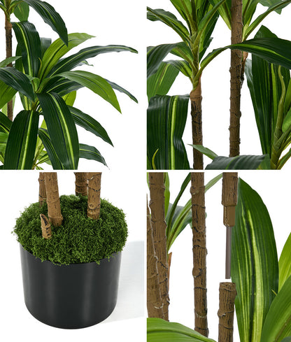 150cm Dracaena Tree Potted  Plant - 8