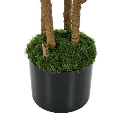 2x Dracaena Tree 150cm Potted  Plants - 6
