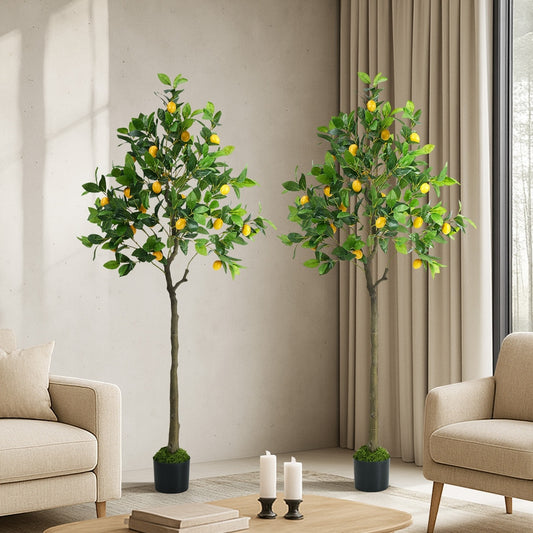 Lemon Tree Faux Plant 150cm